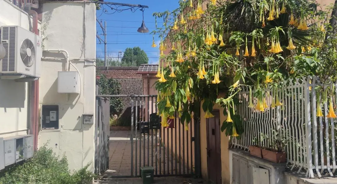 La Badia del Cavaliere 1-1