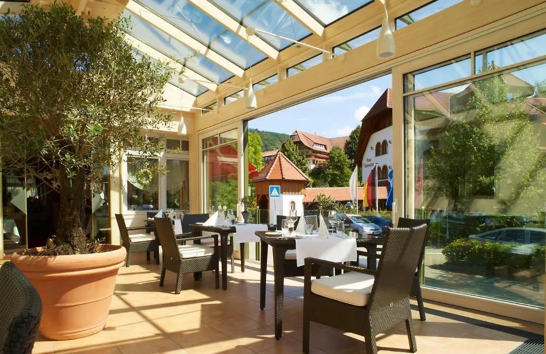 Wellnesshotel Ludinmühle-1