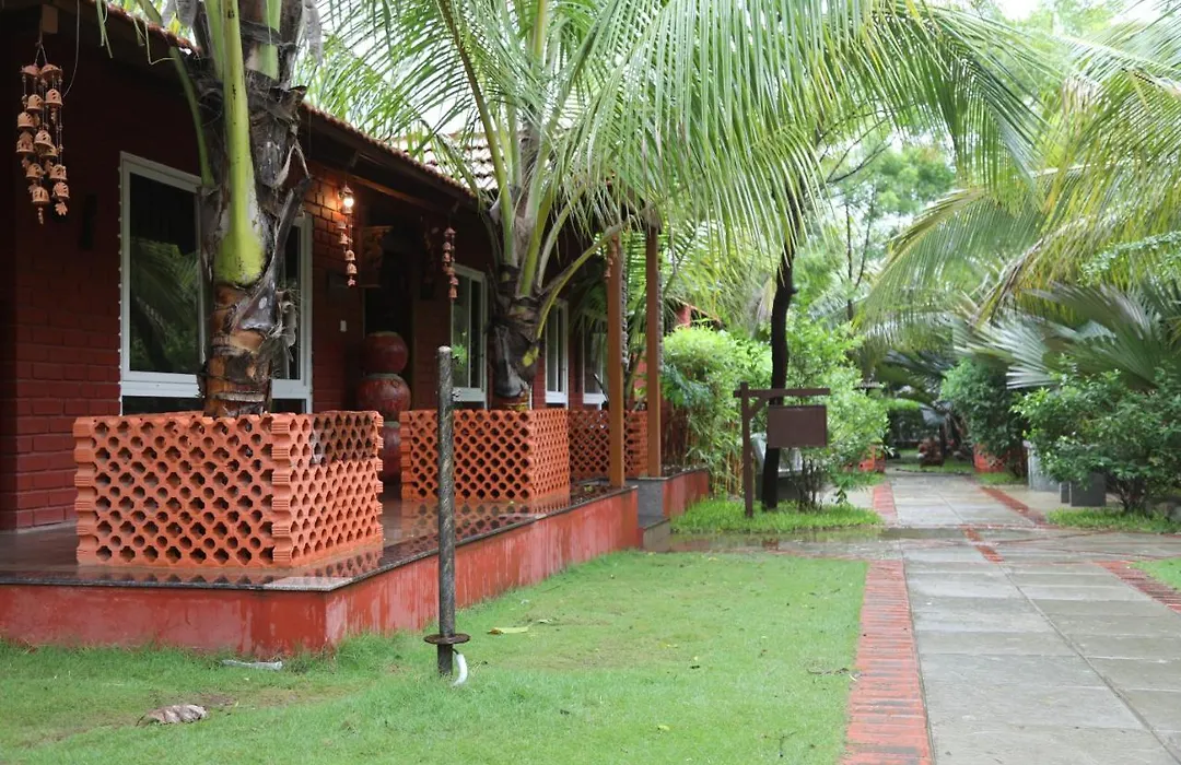 Brown Town Resort & Spa-1