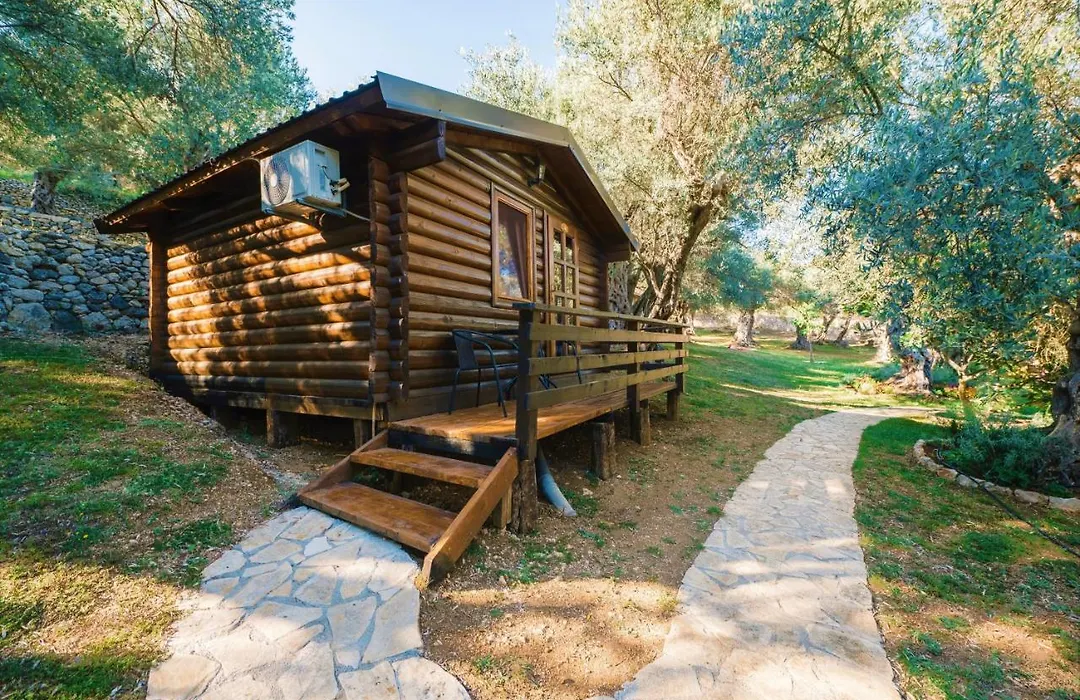 Holiday Park Olive Tree-1