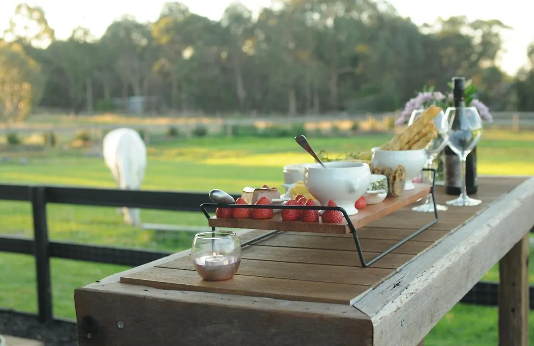 Wagtail Nest Country Retreat - Longford Vic 3851-1