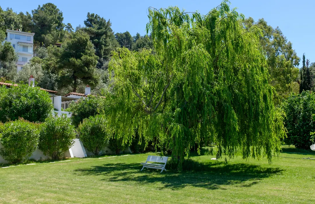 Skiathos Holidays Suites & Villas-1