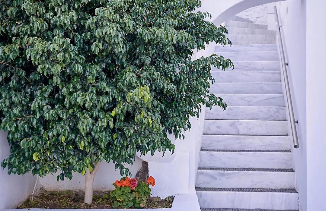 Agali Houses-1