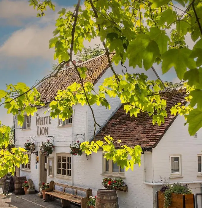The White Lion, Soberton-1