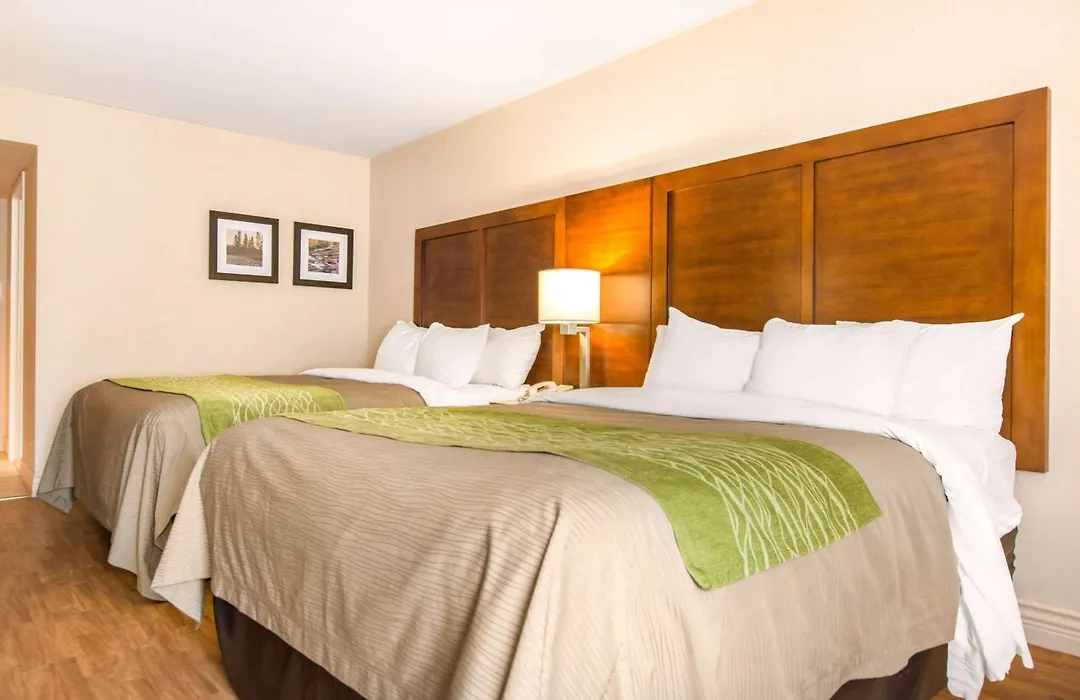 Comfort Inn & Suites Shawinigan-1