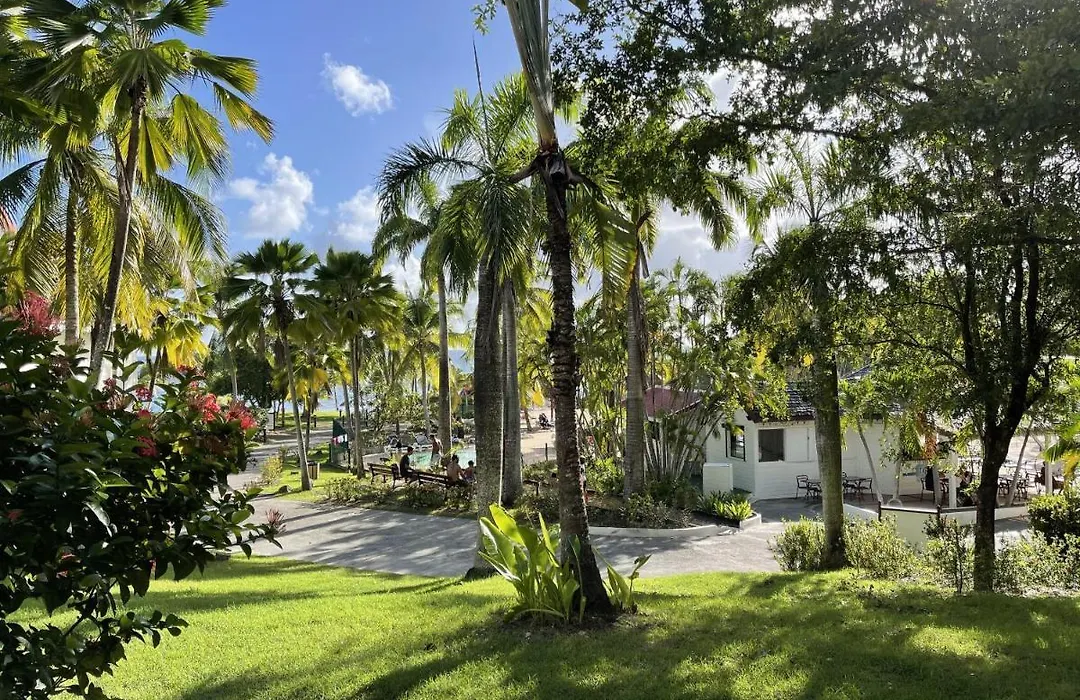 Studios Barbadine - Resorts Flats-1