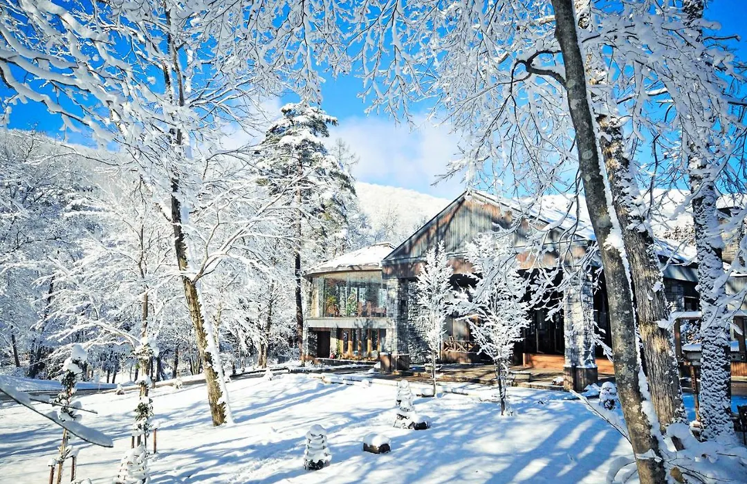 Hotel Sierra Resort Hakuba-1