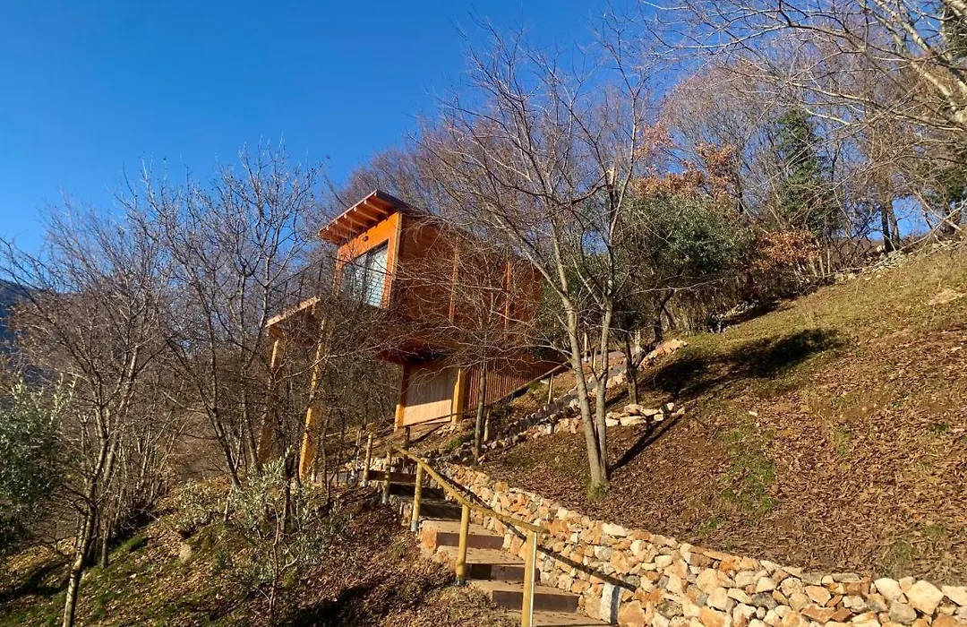 Tree House San Giorgio-1