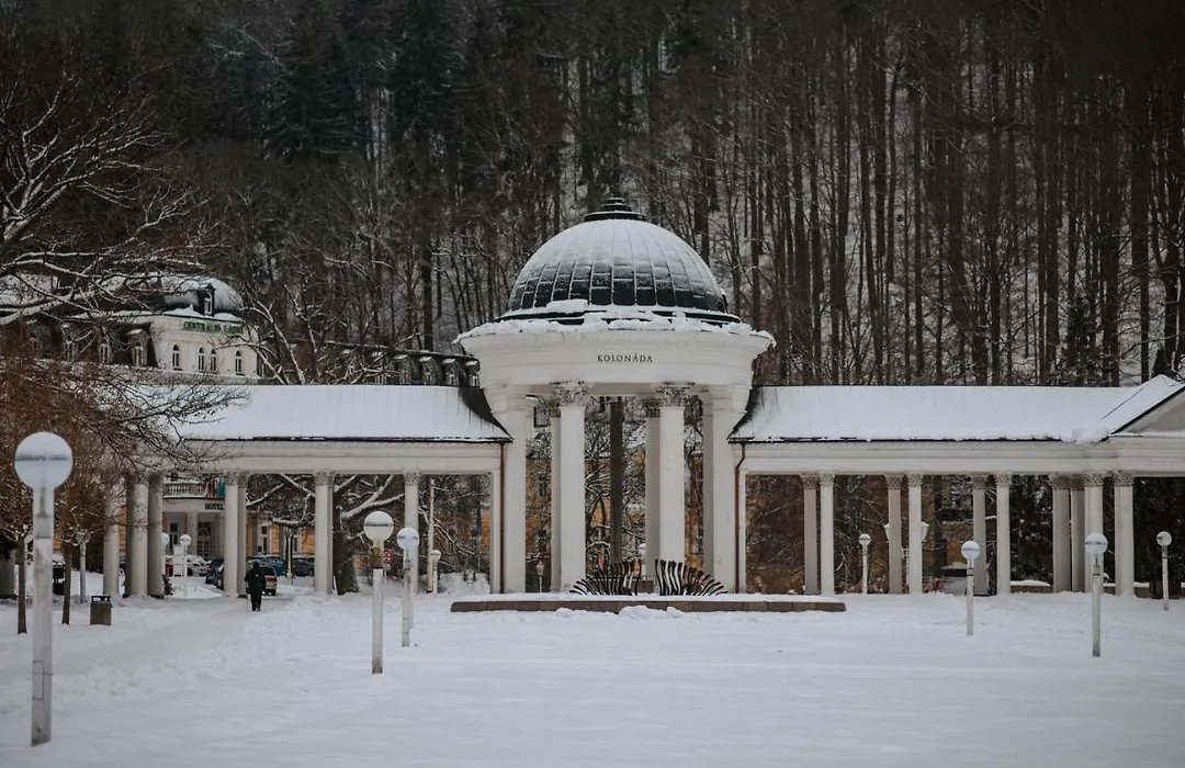 Orea Spa Hotel Cristal-1