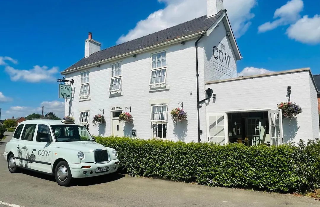 The Cow Dalbury-1