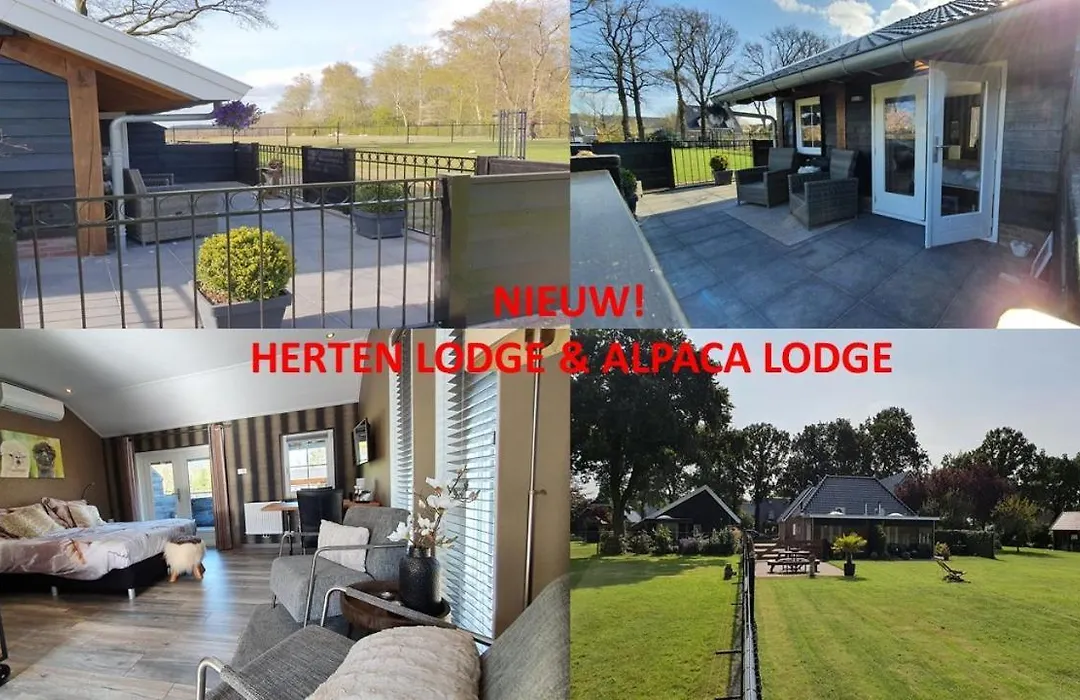 B&B Hertenhoef, Fluitenberg (Hoogeveen)-1