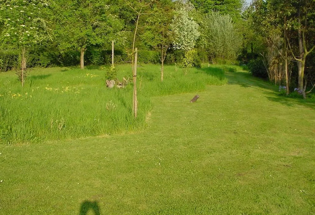 Acreland Green-1