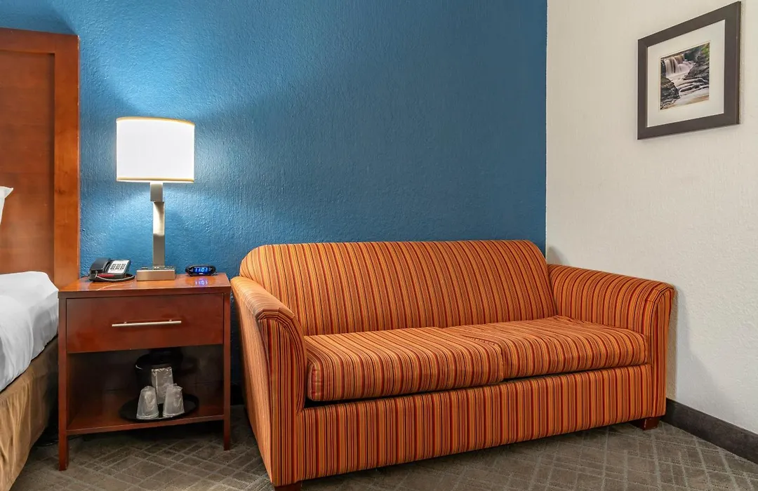 Comfort Inn University-1