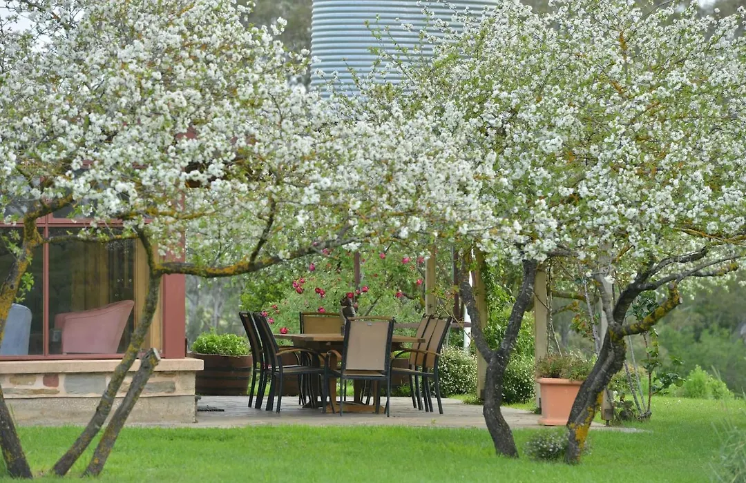 Skillogalee Estate-1