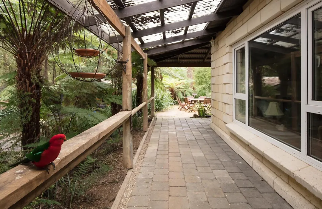 The Fernglen Forest Retreat-1