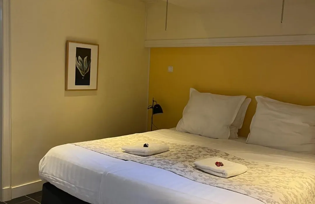 Bed&Breakfast De Verrassing-1