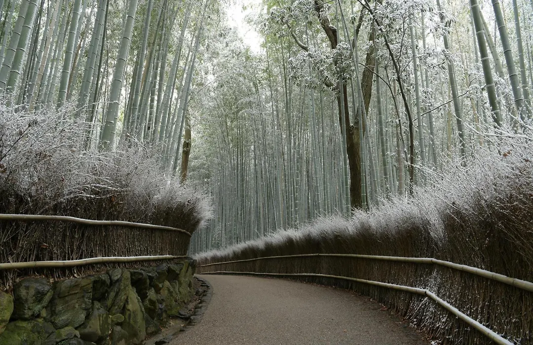 Eph Kyoto-1
