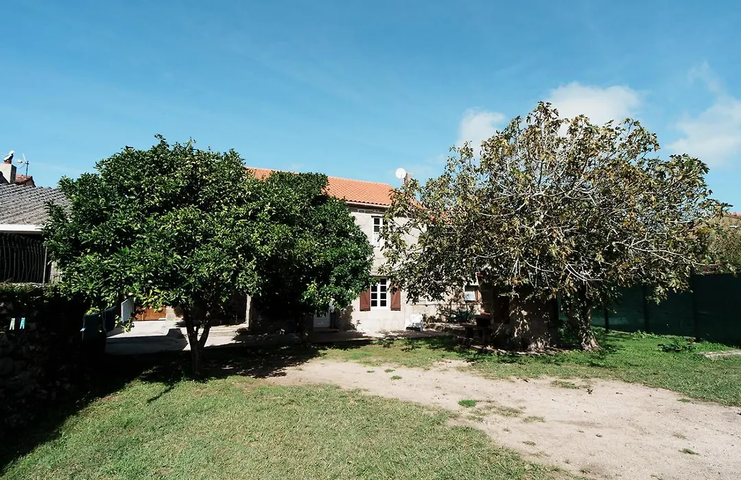 O Fogar Do Carpinteiro-1