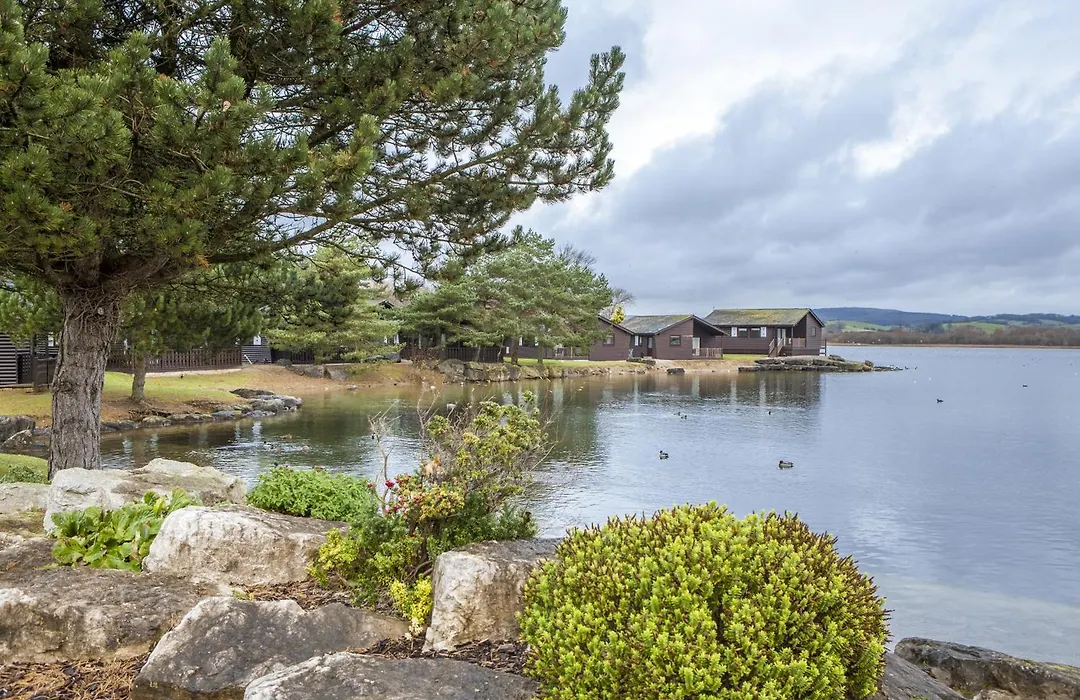 Pine Lake Resort-1