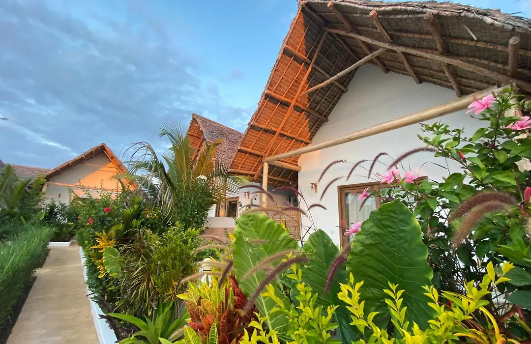 Zen Boutique Retreat & Resort-1