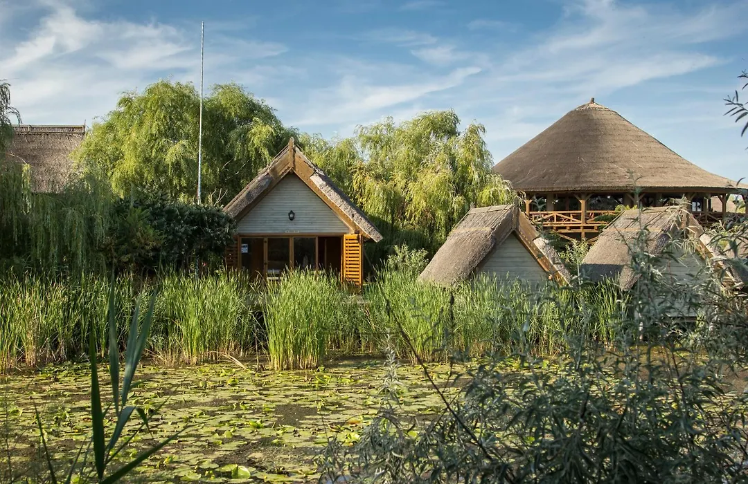 Green Village Resort-1
