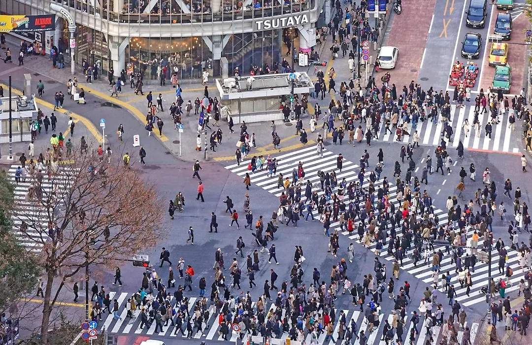 Ginza Creston-1