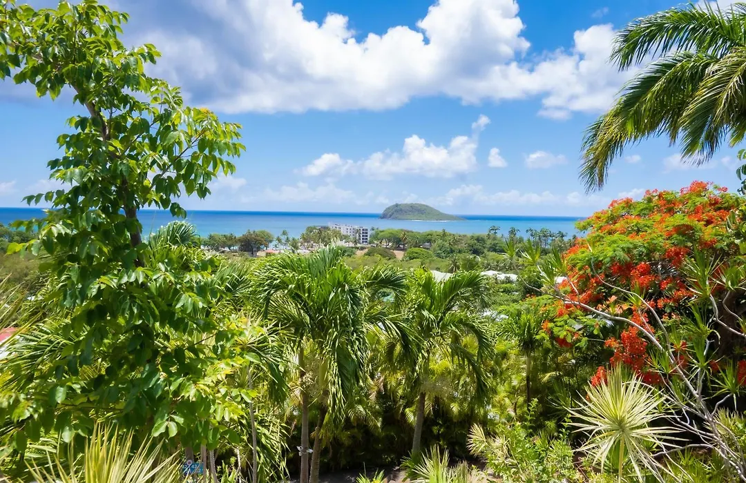 Residence Caraibes Bonheur-1