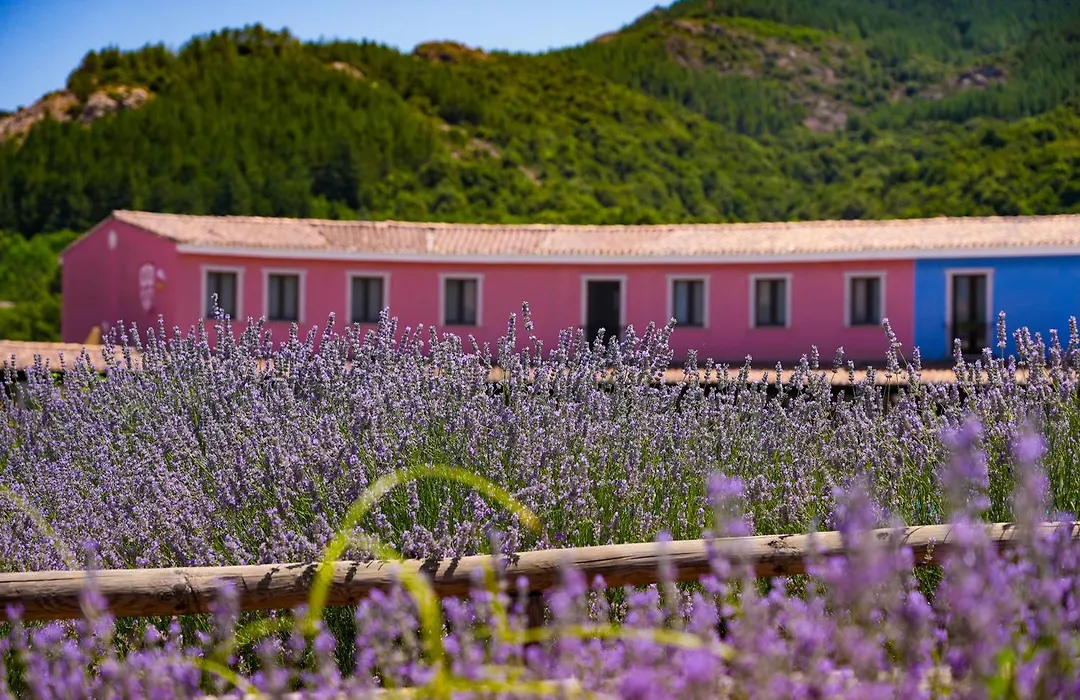 HOTEL ORLANDO Sardegna-1