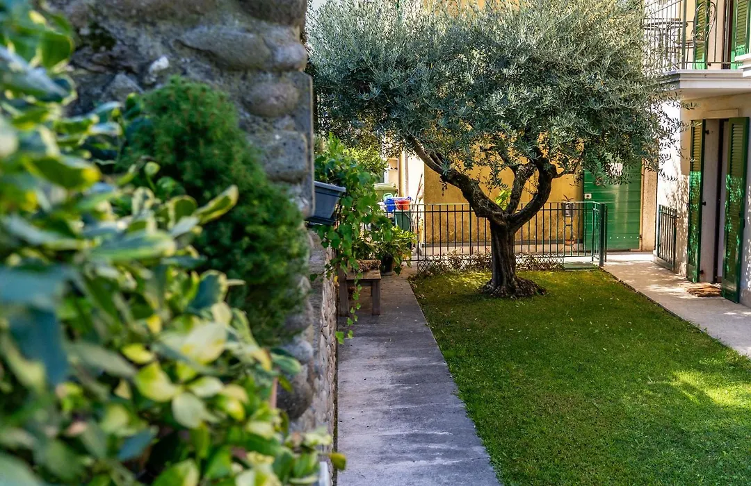 A Casa di Tom-1