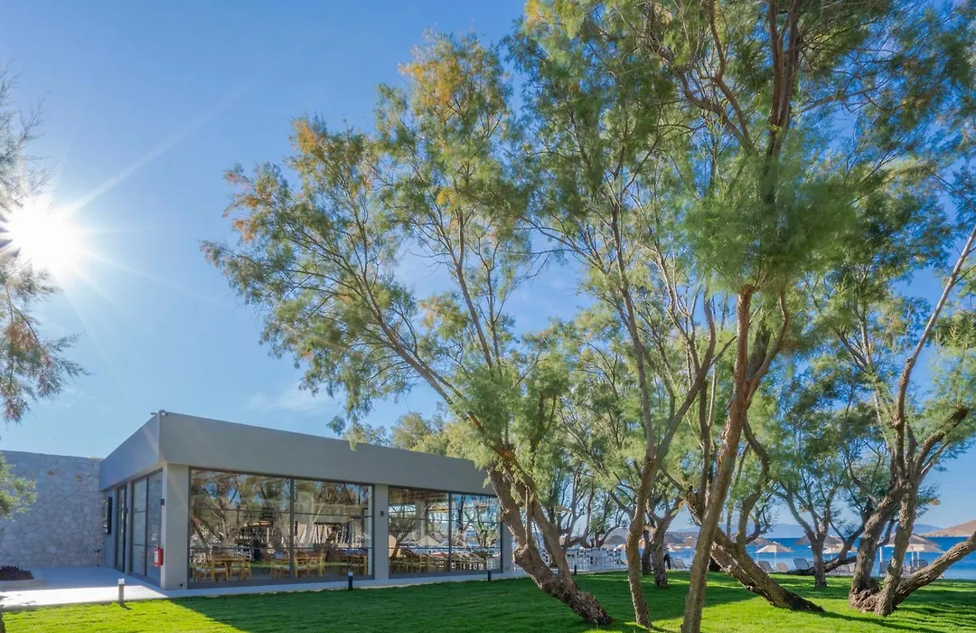 Regia Mare Beach Hotel & Spa Bodrum-1