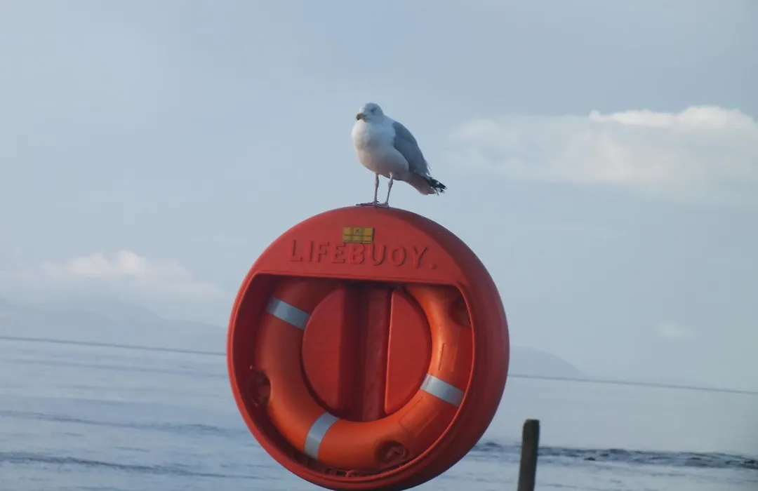 Harbourside Hotel-1