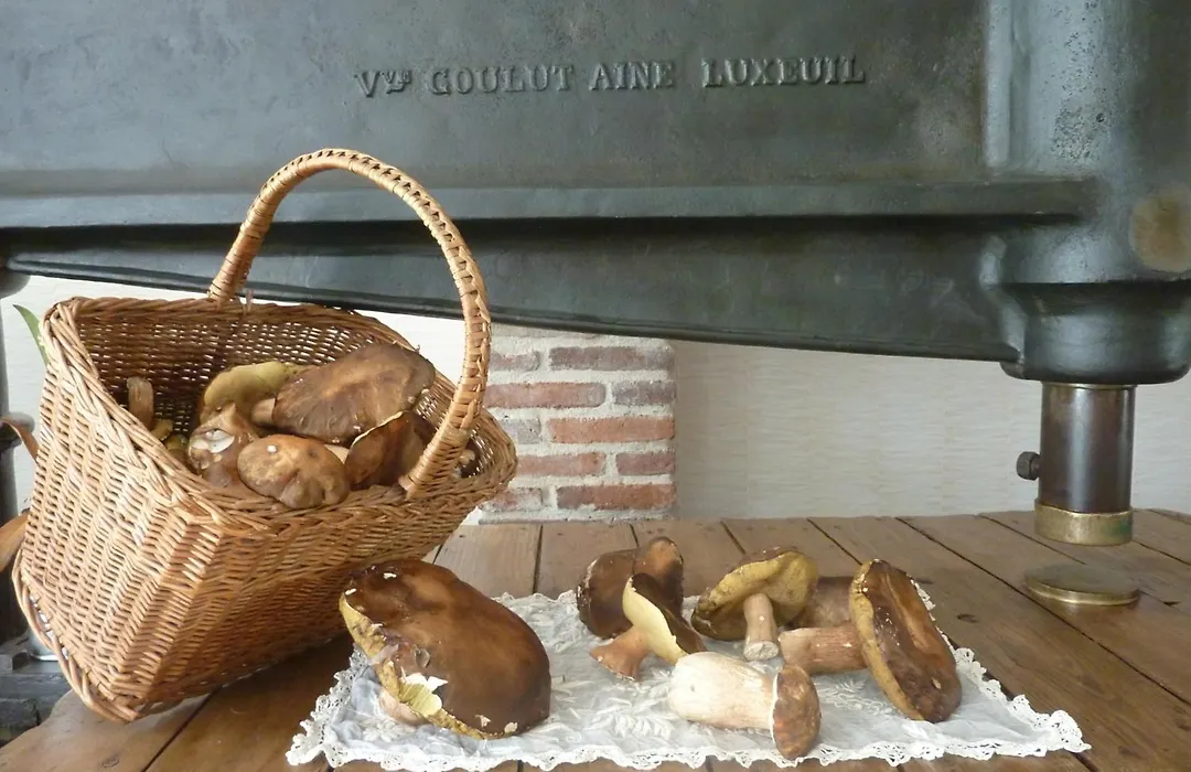 Domaine De La Tannerie Chambres D'Hotes Et Appartements-1