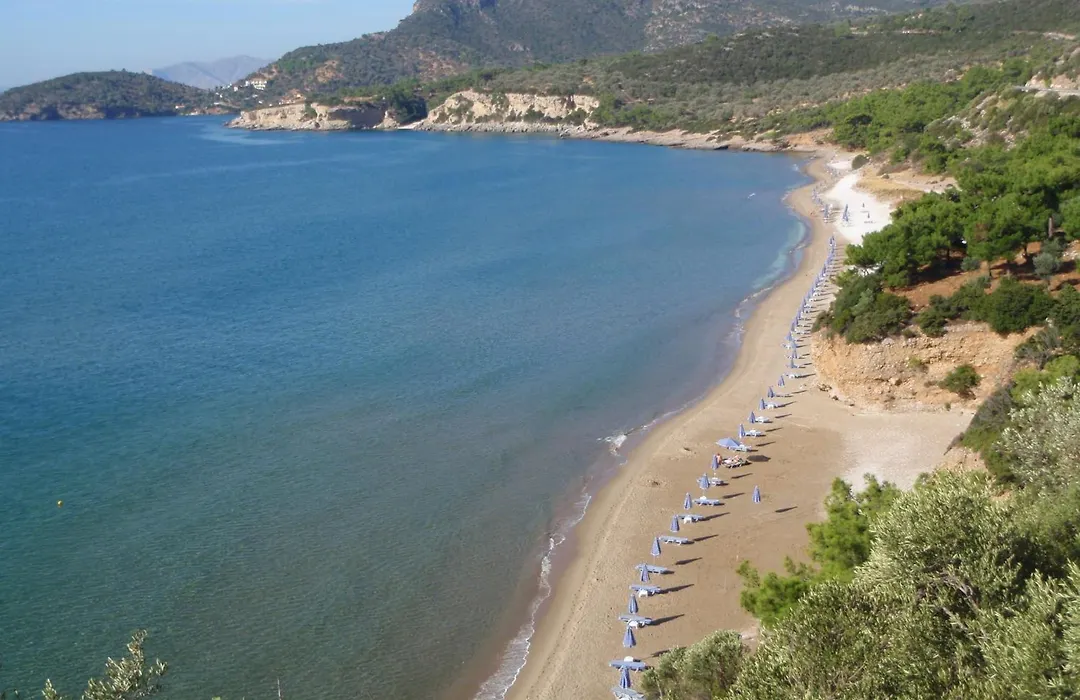 Golden Sand-1