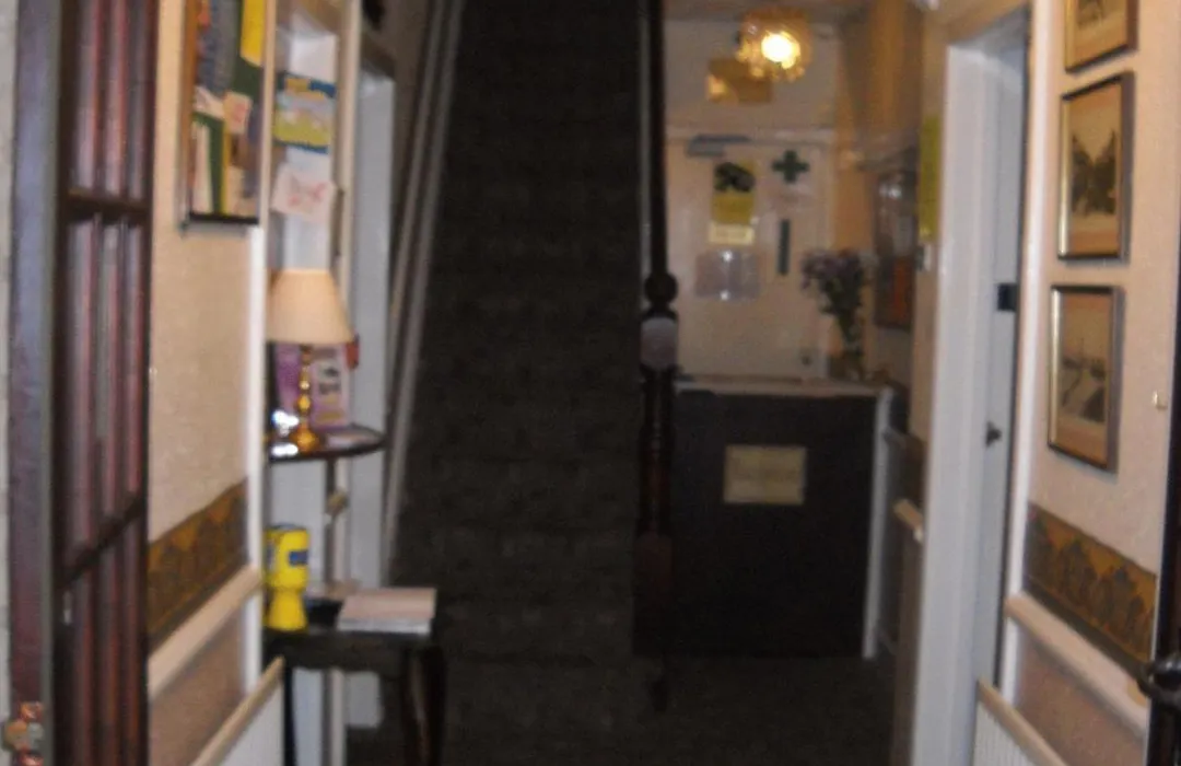 The Sherwood, No 11,-1