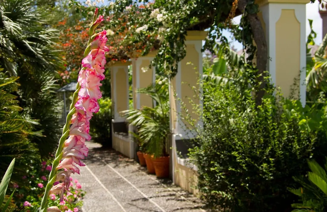 Hotel Quinta Bela S Tiago-1
