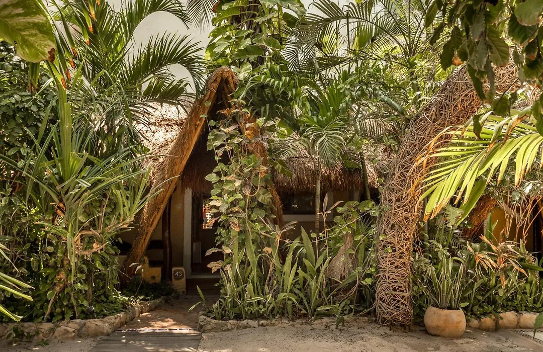 Hotel Casa Colibri-1