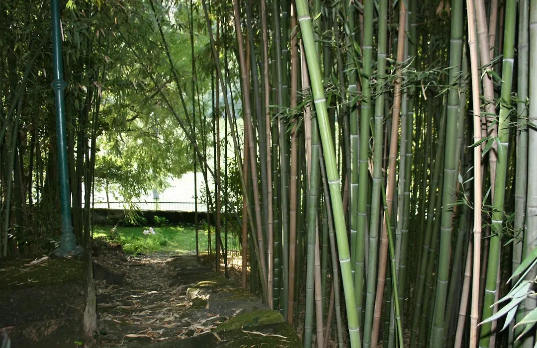 Quinta Da Ermida - Turismo De Habitacao-1
