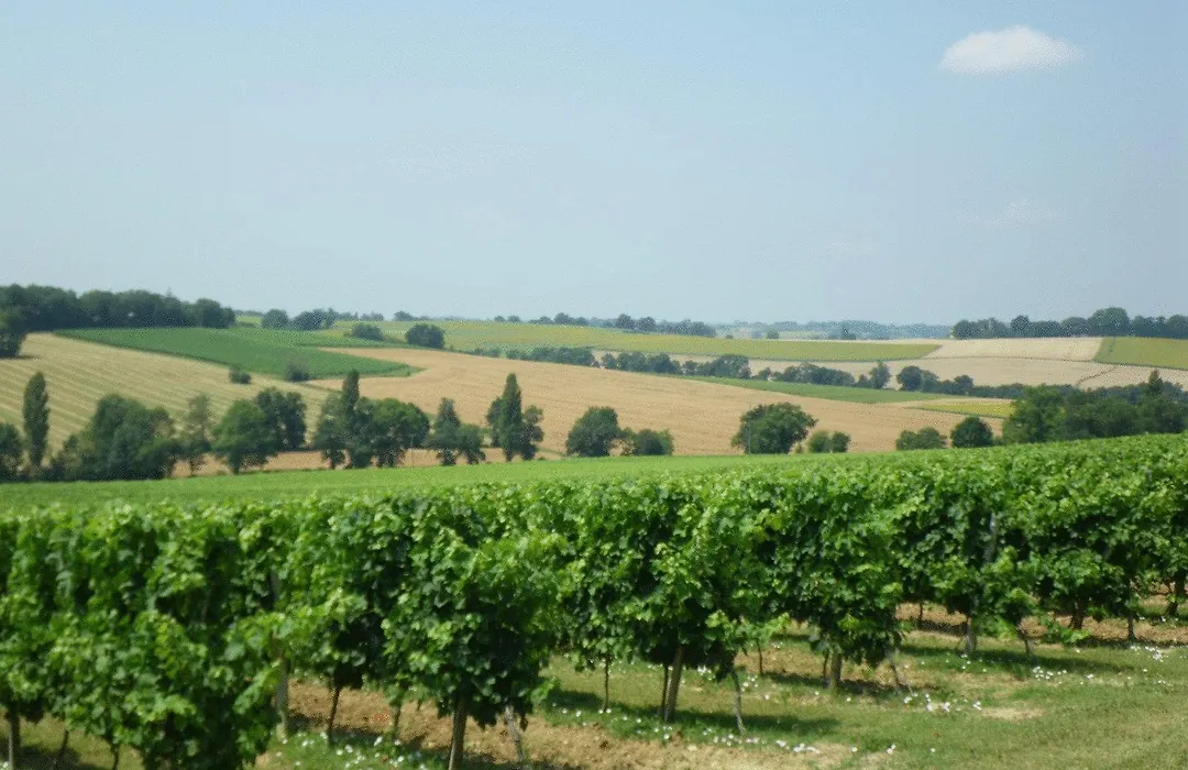 Château de Fourcès-1