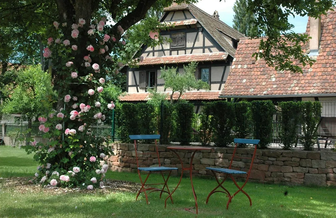 Hotel Restaurant De L'Illwald-1
