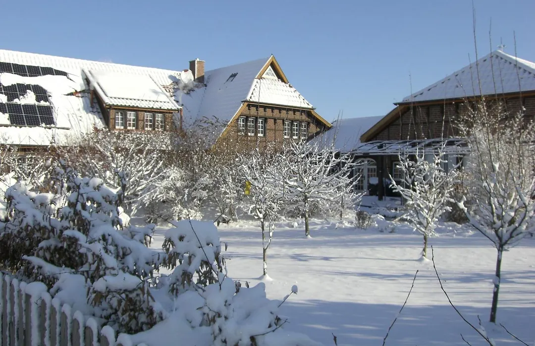 The Cosy Home-1