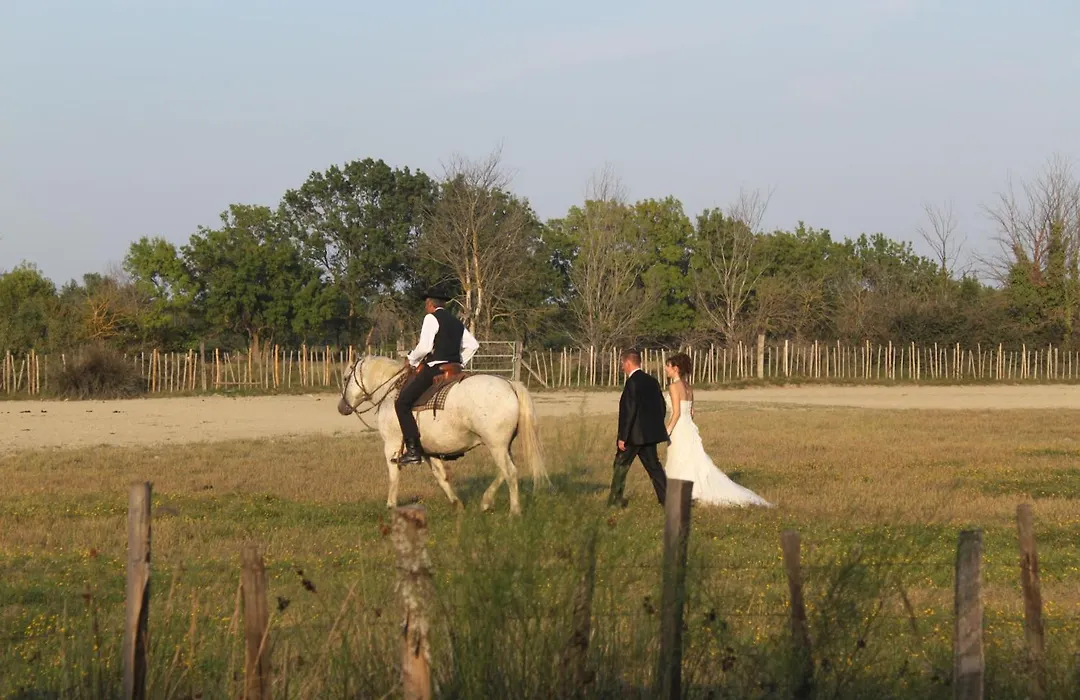 Mas du Menage en Camargue Manade Clauzel-1