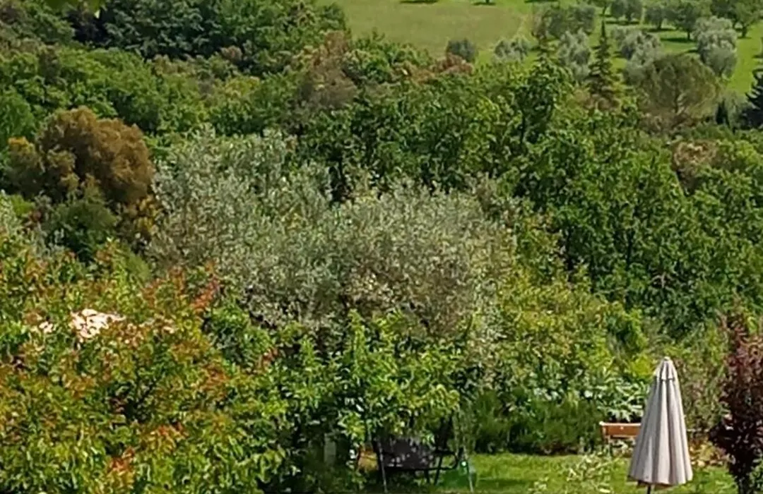 B&B&Wellness Il Pomario di Montepiglio Resort Naturista-1