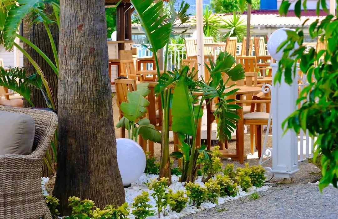 Hawaii Hotel-1