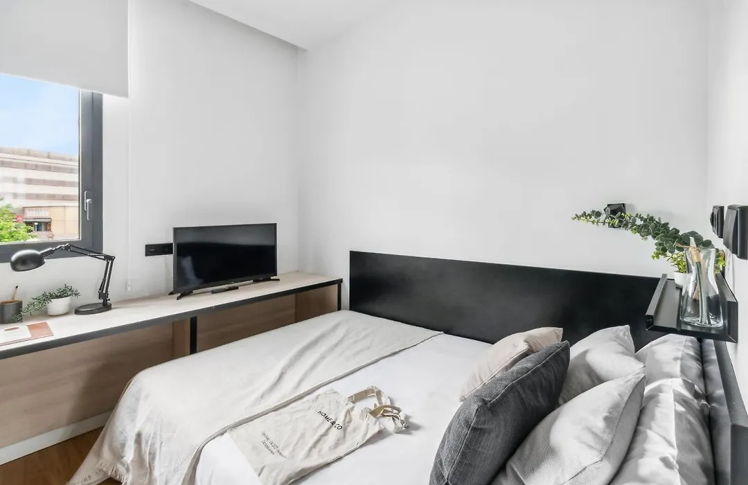 Home And Coliving Pamplona-1