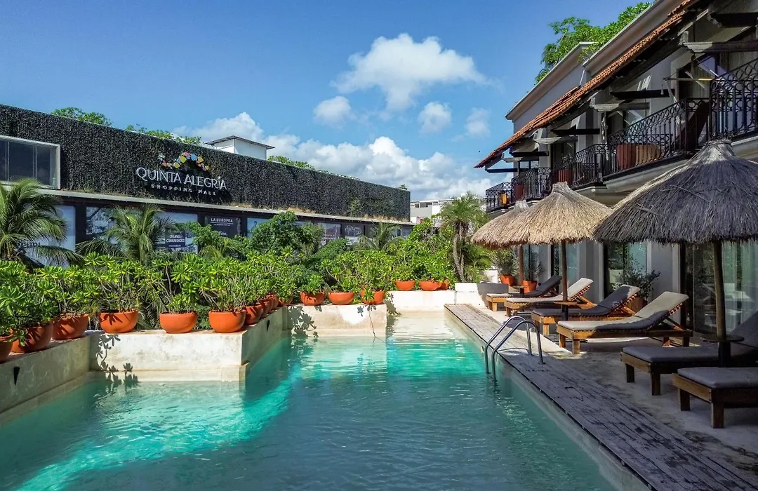 Caribbean Paradise Hotel & Spa - 5Th Avenue-1