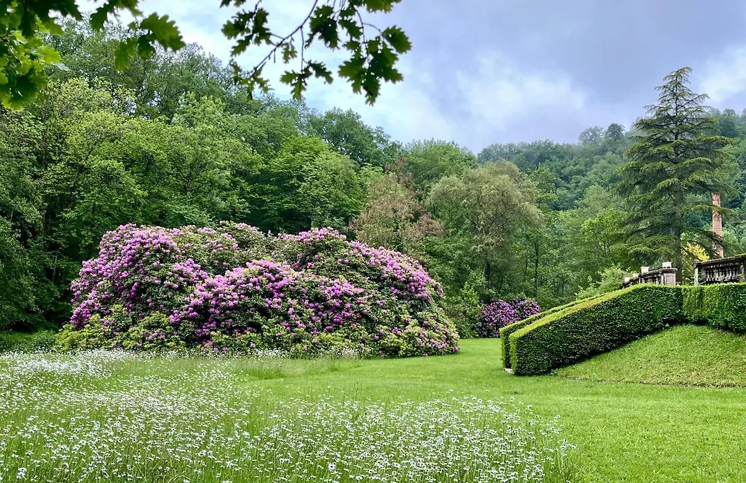 Domaine de La Brugere-1