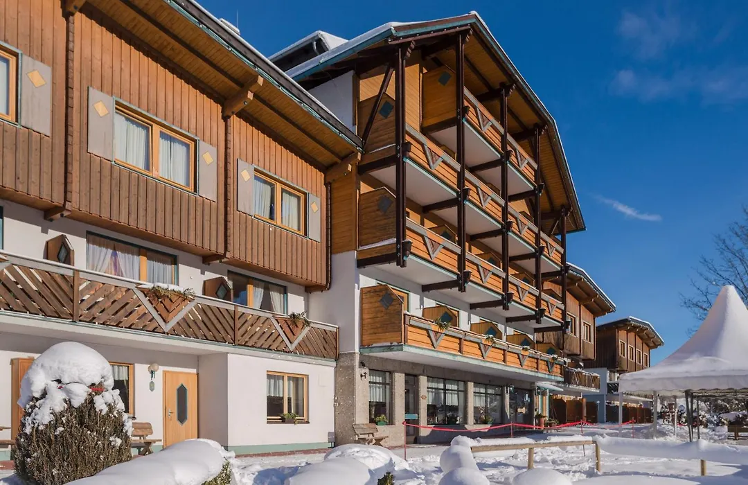 Aparthotel Ferienalm Schladming-1