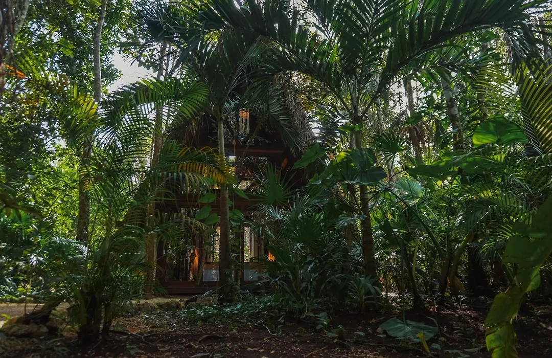 Naya Bacalar Lagoon Front Hotel - Adults Only-1