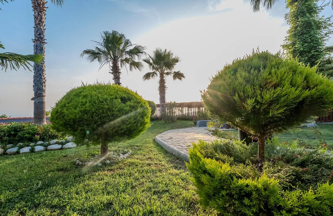 Adora Calma Beach Hotel Adults Only-1
