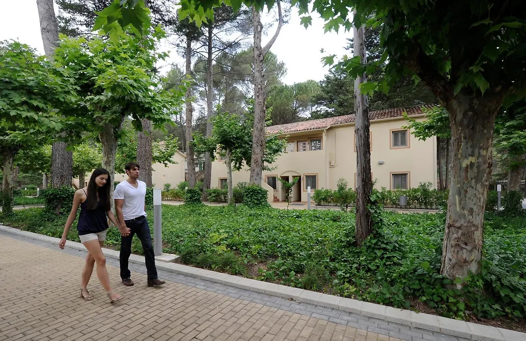 Confluent Health Resort-1